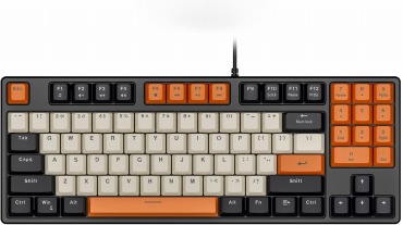 HAVIT 89キー ゲーミングキーボード US Layout KB487L-US